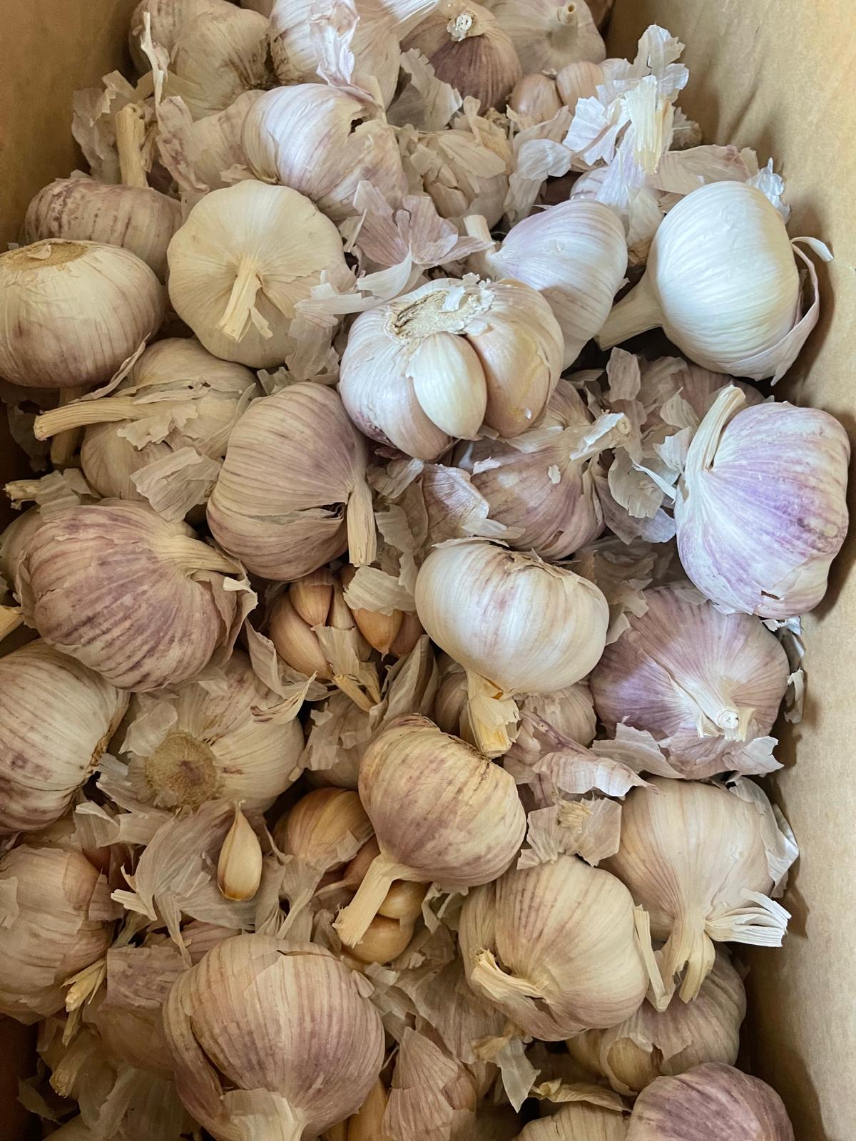 Bawang putih 1 kg
